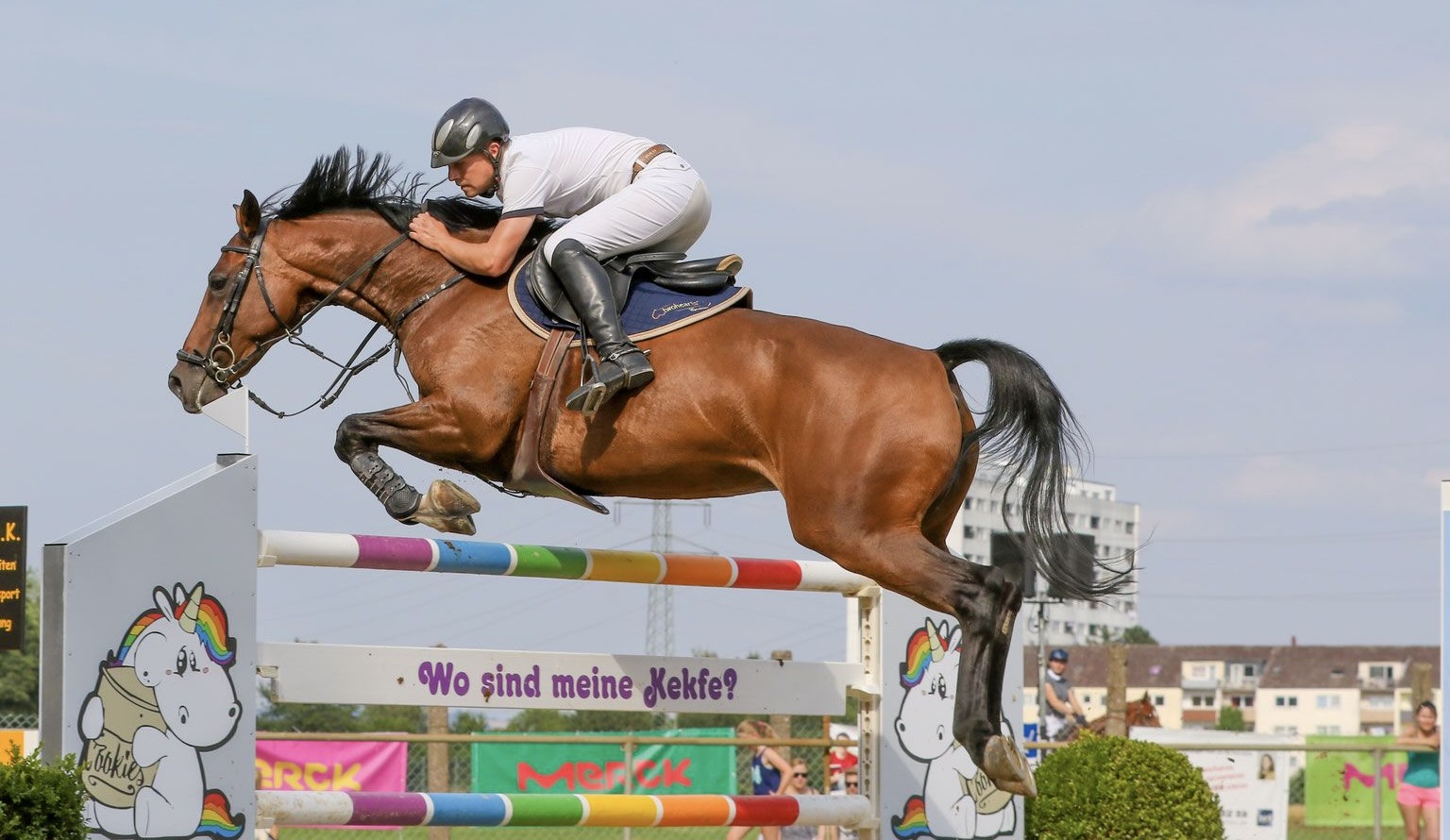 Reit- und Fahrverein Großwelzheim e.V.