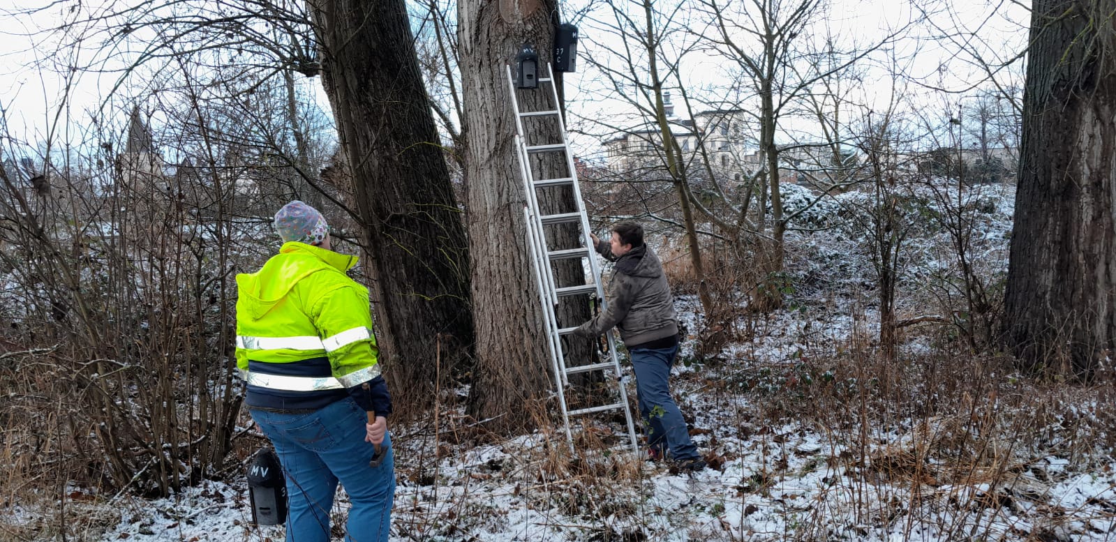 Vogel- und Naturschutzgruppe Karlstein e.V. 1988