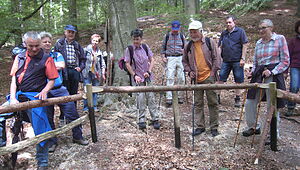 Wanderfreunde (Spessartbund) Dettingen